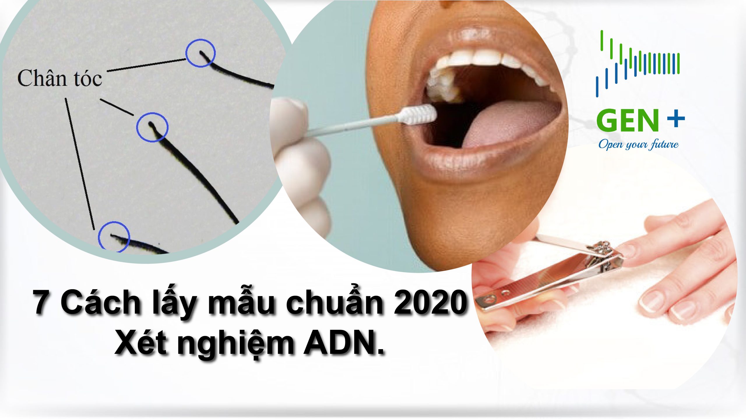 Hướng Dẫn 6 Cách Lấy Mẫu Xét Nghiệm ADN Tại Nhà Chính Xác