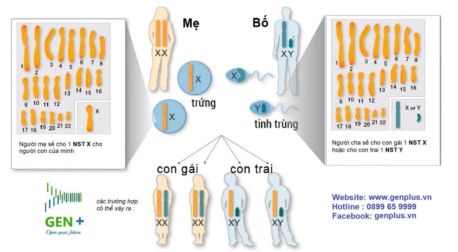 con-nhan-23-cap-nhiem-sac-the-tu-bo-me