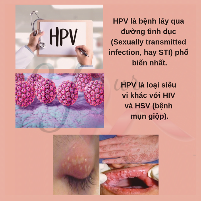 Con đường lây nhiễm HPV