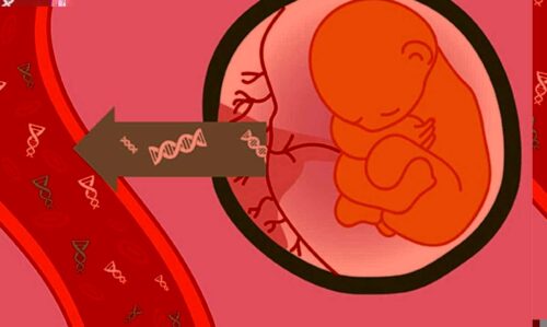 loi ich cua xet nghiem adn dna thai nhi tu do