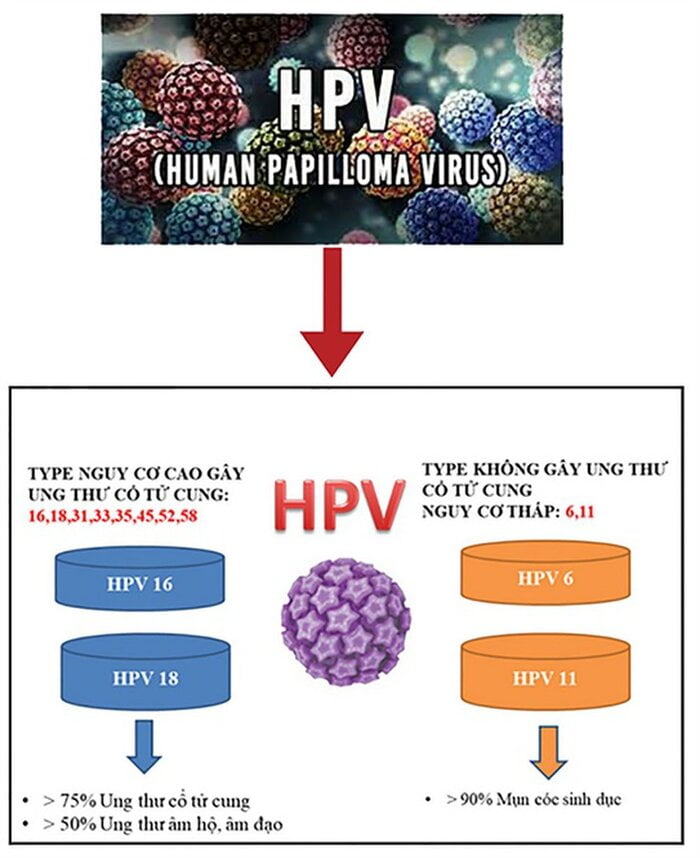 Virus HPV lây nhiễm qua con đường nào?