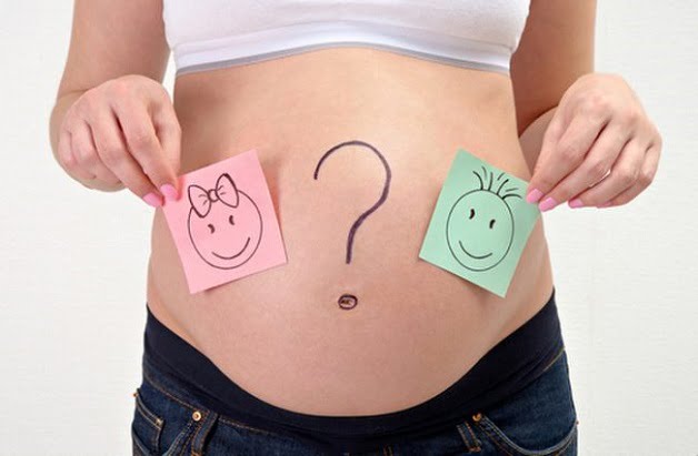 Giới tính thai nhi hình thành khi nào?