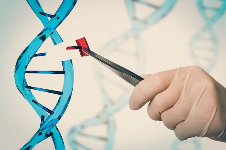 Xét nghiệm ADN sau sinh