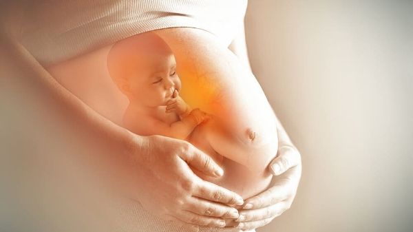 Chi phí xét nghiệm ADN thai nhi 7 tuần tuổi không xâm lấn