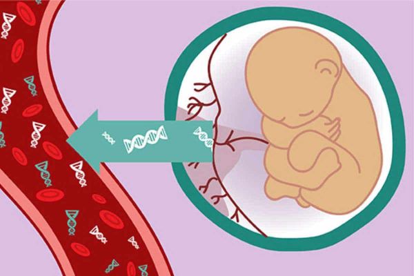 Xét nghiệm ADN thai nhi từ tuần thứ 7 có chính xác không?