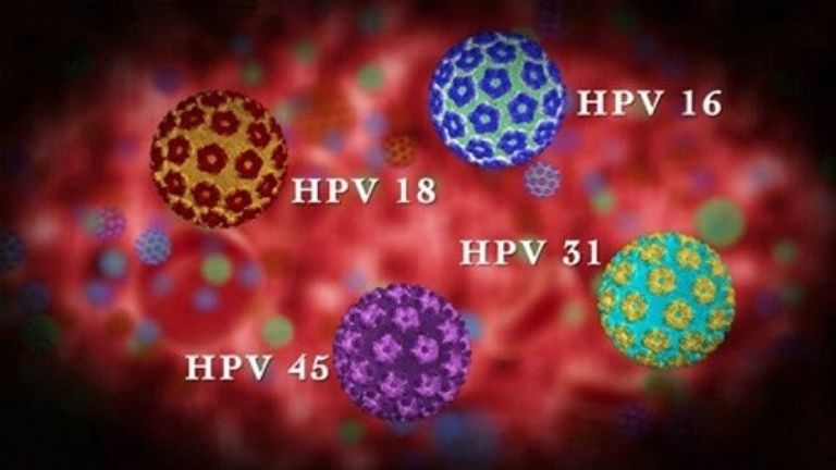 Chủng virus HPV