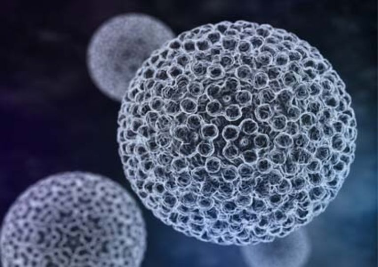Nguy cơ mắc ung thư cổ tử cung khi dương tính nhóm 12 type HPV là bao nhiêu?
