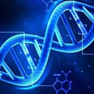 Xét nghiệm ADN bao lâu có kết quả