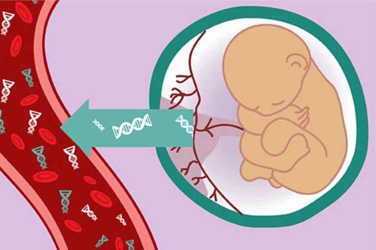 Xét Nghiệm ADN Thai Nhi Có Nguy Hiểm Không?