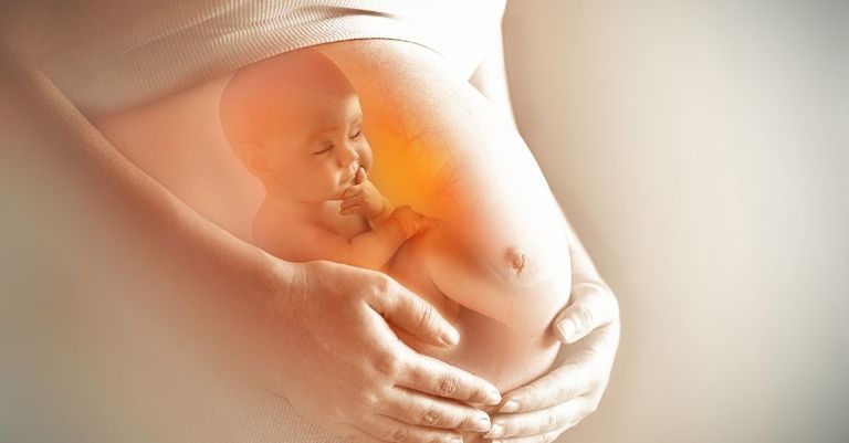 giai đoạn nào thai nhi dễ bị dị tật