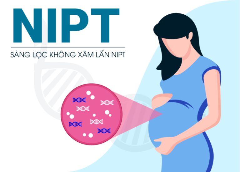 xét nghiệm NIPT ở Hà Nam