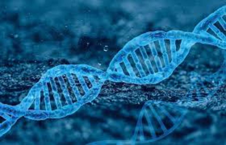 Xét nghiệm ADN tại Phú Thọ có chính xác không?
