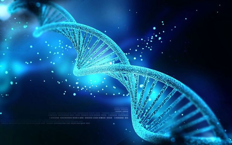 Trung tâm xét nghiệm ADN, viện công nghệ sinh học