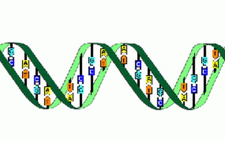 Xét nghiệm ADN Vĩnh Phúc bao lâu có kết quả?
