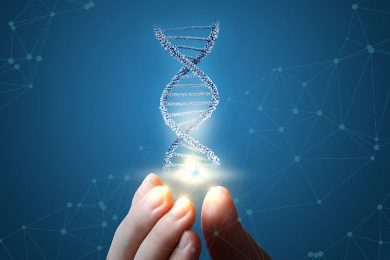Xét nghiệm ADN ở Bắc Kạn hết bao nhiêu tiền?
