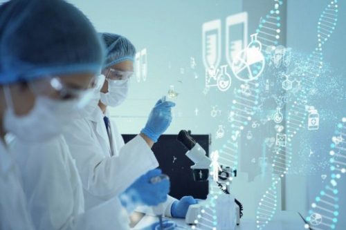 xet nghiem adn o kien giang 2