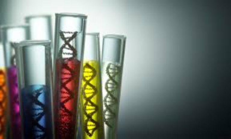 Xét nghiệm ADN tại Phú Yên có chính xác không?
