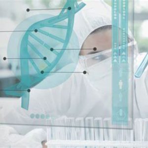 Xét nghiệm ADN Tuyên Quang