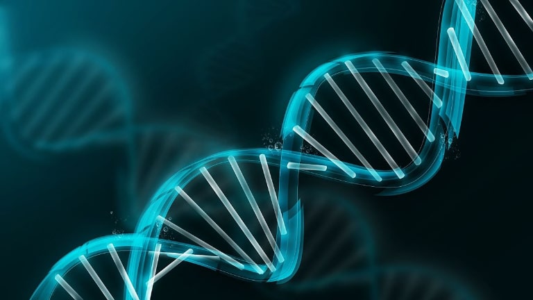 Xét nghiệm gen Hậu Giang cần chuẩn bị những gì?